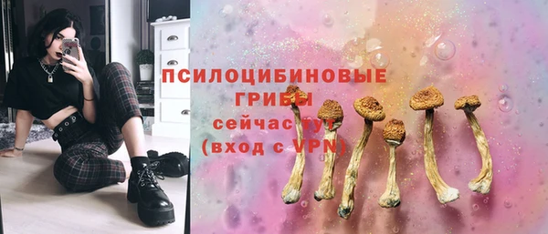 a pvp Алексеевка